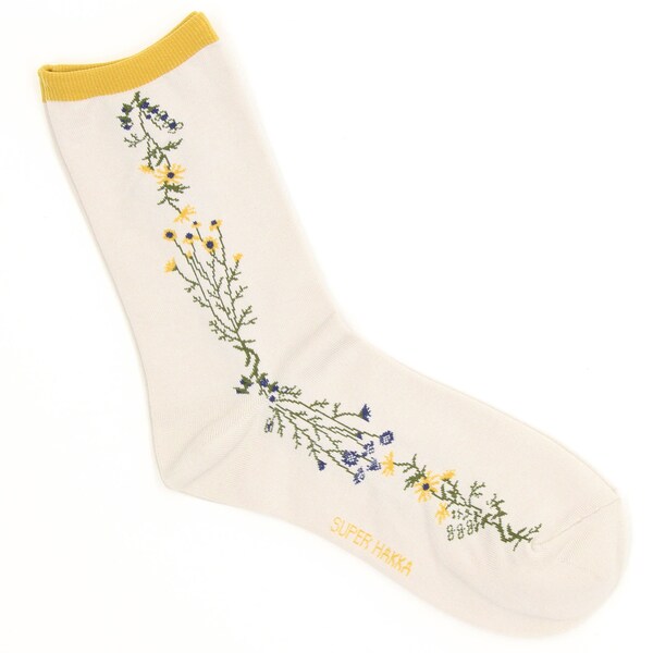 sorakaページ Amazon.com: Shinkyoku Soukai Polyphonica: Corticarte Apa