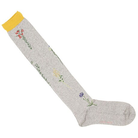 [^:34060054]ԂU΂߂̃WJ[hnC\bNXBSUPER HAKKAŋvԂɓoꂷACełBs[XXJ[g̑`A^CcɃpc̉ɗA~̃R[fBl[gxAbvĂ܂B