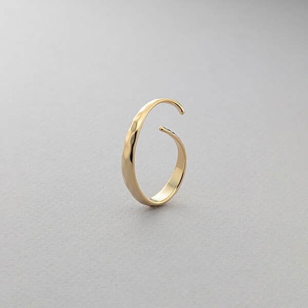 [}C]C[Jt Ўp/u[iBLOOMj ̑