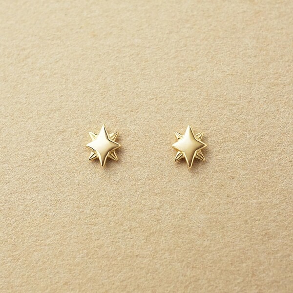 take up セカンドピアス シャインハーフピアス セカンドピアス]K18 シャインピアス( YG) | テイクアップ ピュア(TAKE