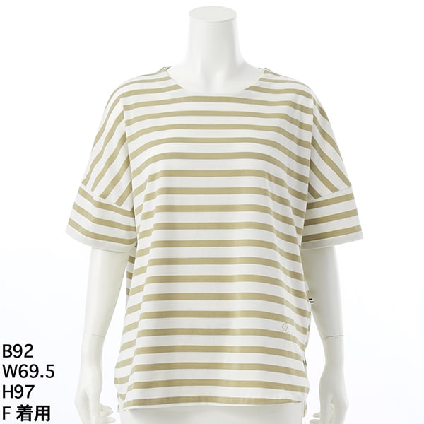 天竺ボーダーTシャツ　【グリーンノート】【大きいサイズ】【レディース】【F号】 天竺ボーダーTシャツ 【グリーンノート】【大きいサイズ