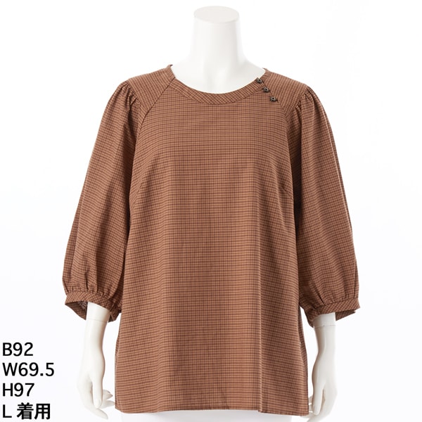 グリーンノート（gree*n[nout]）/リネンチェックブラウス 【グリーンノート】【大きいサイズ】【レディース】【L・LL号】 リネンチェックブラウス 【グリーンノート】【大きいサイズ