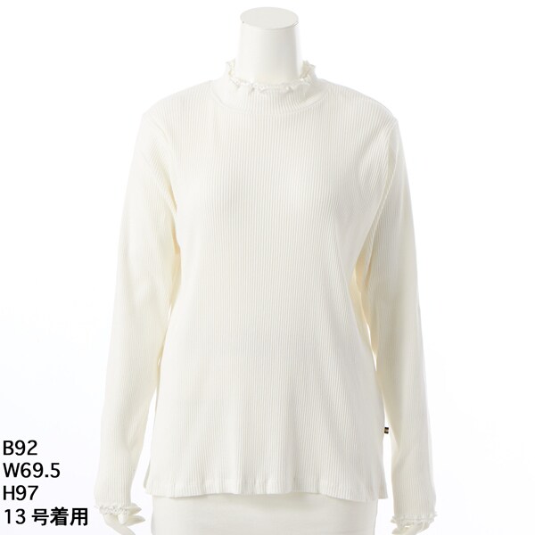 天竺プリントTシャツ 【グリーンノート】【大きいサイズ】【レディース