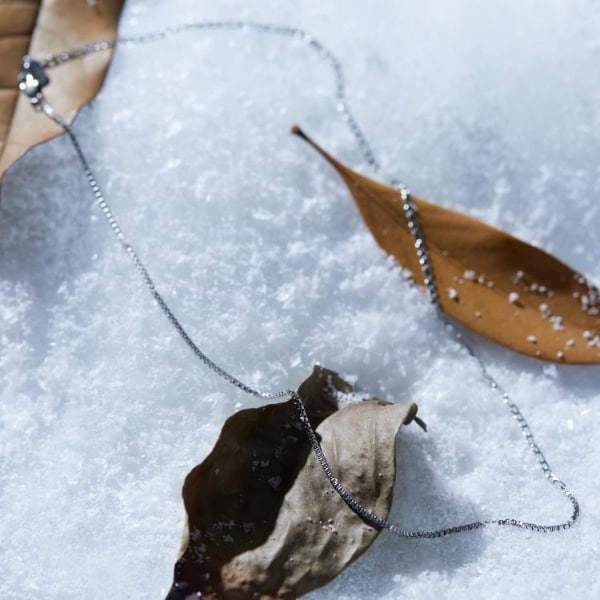 [}C]i[RrlbNX^XeX/eB[P[ ^PILN`itk.TAKEO KIKUCHIj Vo[i006j