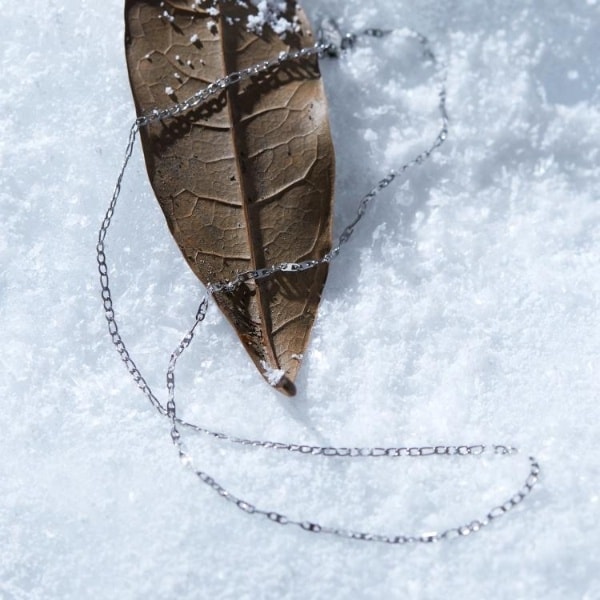 [}C]i[RrlbNX^XeX/eB[P[ ^PILN`itk.TAKEO KIKUCHIj Vo[i206j