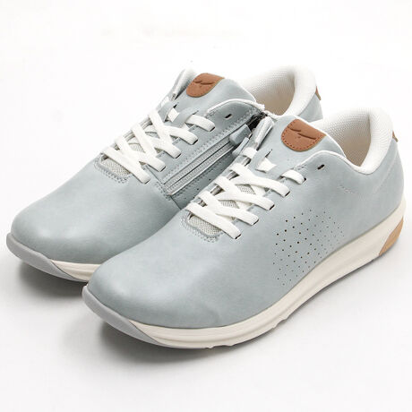 [^:B1GW2500]ЂNDV[Y̐lHvfB