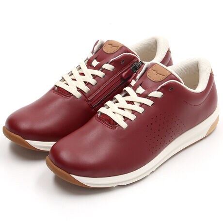 [^:B1GW2500]ЂNDV[Y̐lHvfB