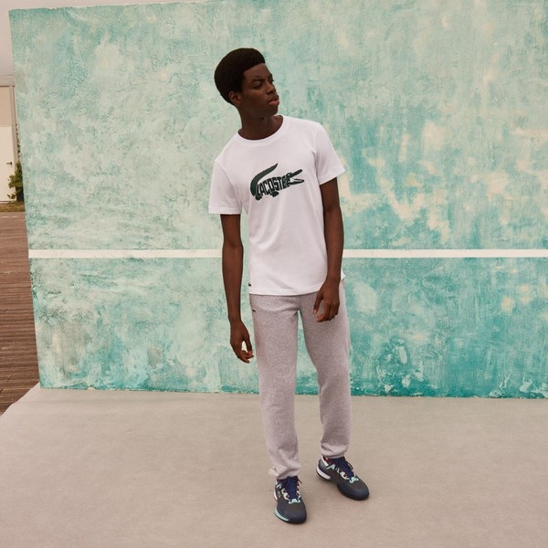 ノバク・ジョコビッチ』ビッグロゴTシャツ | ラコステ(LACOSTE