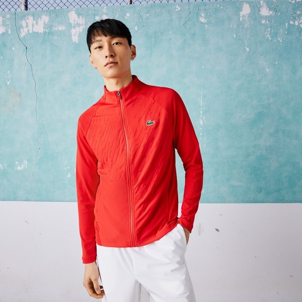 新品タグ付き】LACOSTE セットアップ ラコステ トップス トレーナー