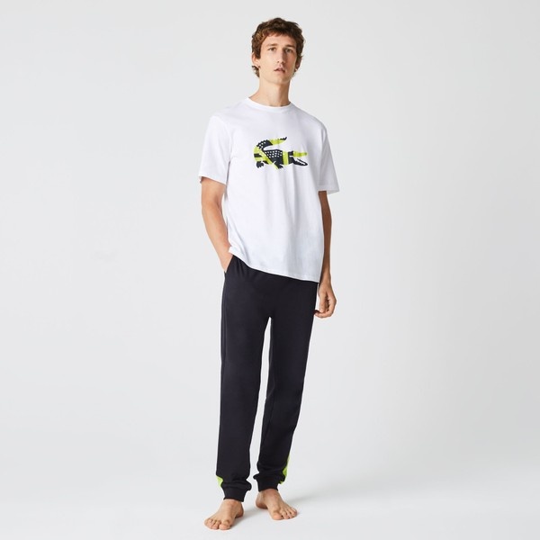 グラフィックプリントコットンジャージTシャツ | ラコステ(LACOSTE