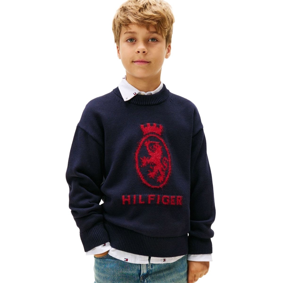 [�}���C]�E�[���N���X�g�N���[�l�b�N�Z�[�^�[/�g�~�[ �q���t�B�K�[�iTommy Hilfiger�j �l�C�r�[DW5