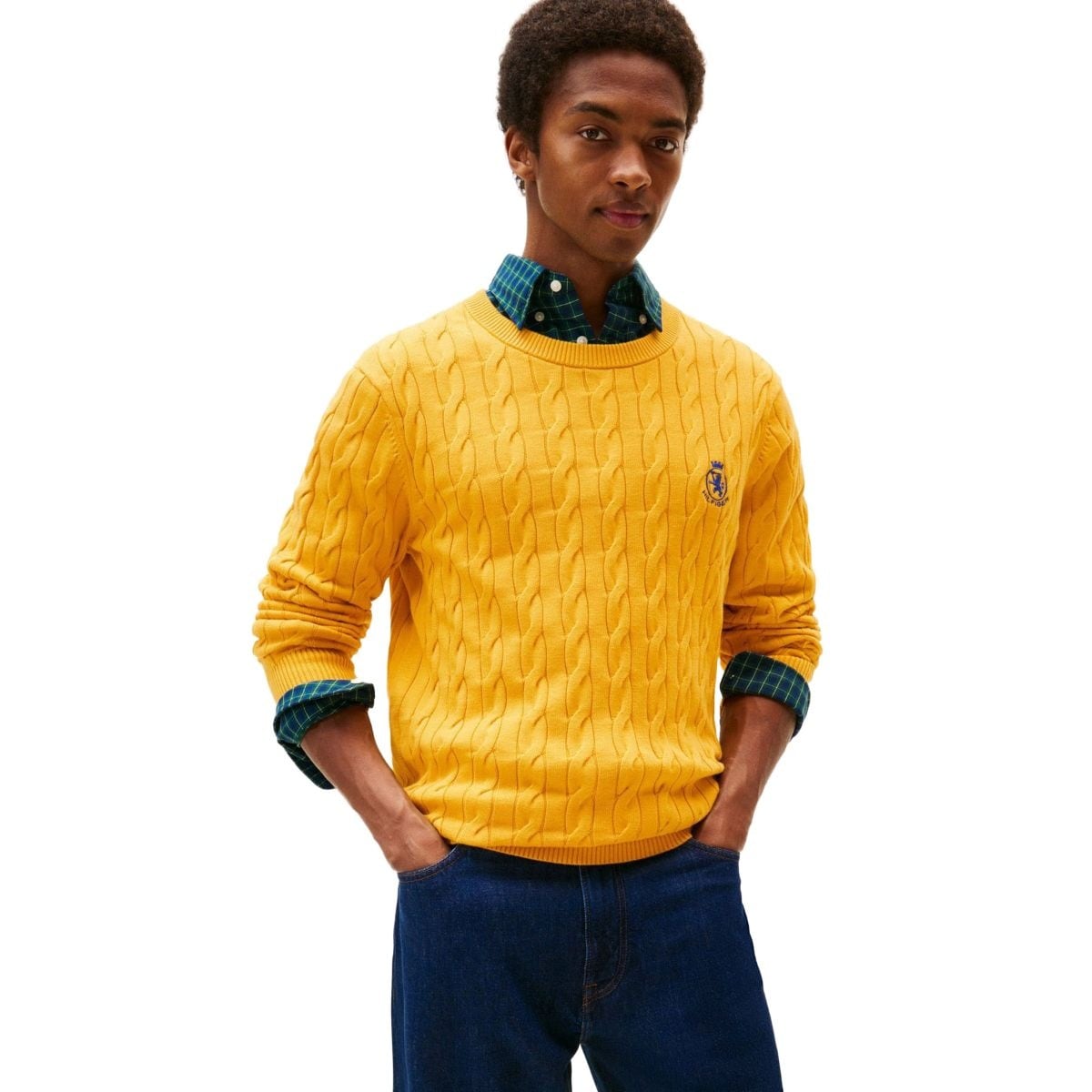 [�}���C]�N���V�b�N�R�b�g���P�[�u���N���X�g�N���[�l�b�N�Z�[�^�[/�g�~�[ �q���t�B�K�[�iTommy Hilfiger�j �C�G���[ZF4