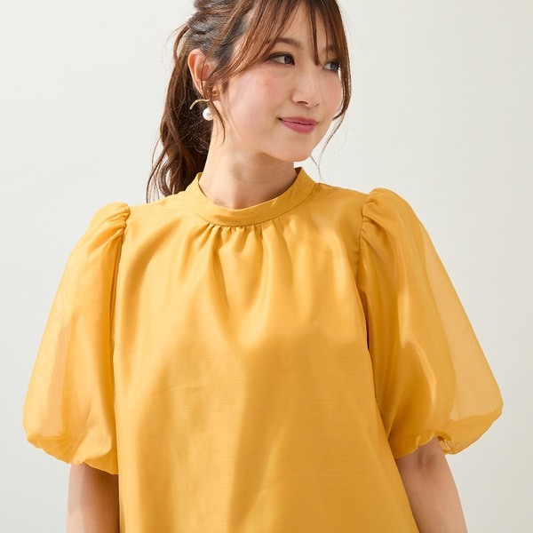 ローズティアラ(Rose Tiara) レディース ブラウス の一覧