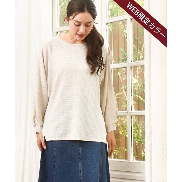 [}C]y傫TCYzV[OW[W[vI[o[/GEL[uieur3j AC{[(80)iWEBJ[j