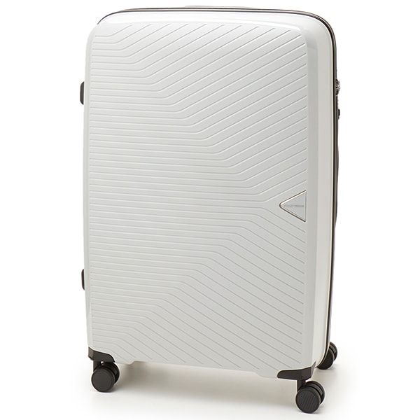 [}C]ySIFFLER/GREEN WORKS zL[P[X100L؍ݖڈ7`/Vtisifflerj CgO[