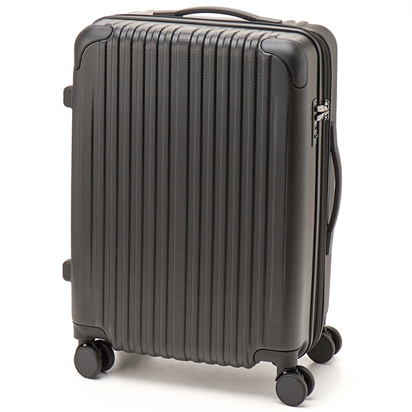 [�}���C]�ySIFFLER/GREEN WORKS �z�L�����[�P�[�X55L�`63L�؍ݖڈ�3���`5�� /�V�t���isiffler�j �u���b�N