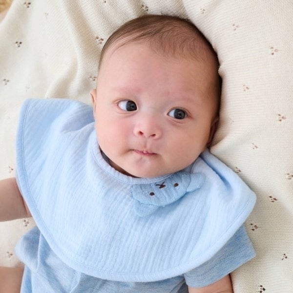 [}C]K[[܃X^C/ZXIu_[isense of wonderj u[