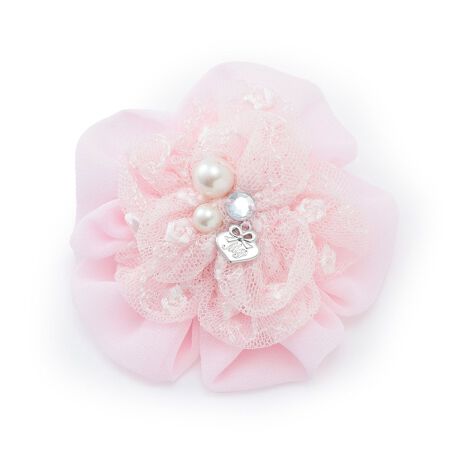 [^ԁF6054626]ꂵȂ肪ȃtH[}X^Cɉ؂YĂRT[WłB ԕ̓[XnƃVtHnّ̈fނŎdグ܂BP̂郍Sp[ciȃANZgBwANbvƂĂgpł2WAYdlɂȂĂ܂B