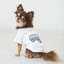 プティマイン(petit main)の【リンク】【DOG】乗り物アップリケTシャツ