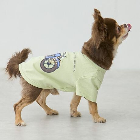 [^ԁF9551450]蕨̃AbvPTVcłBgbvXiiԁF9551222jƂ̃fUCłpӂ܂B񌳂␞ɂ̓uقǂĂAւC[W[B炩ȖȑfނŔ肪ǂASnǍDłBIt zCgF̏dF2.2kg^pTCYS Cg O[F̏dF2.2kg^pTCYS Cg O[F̏dF5.5kg^pTCYL 