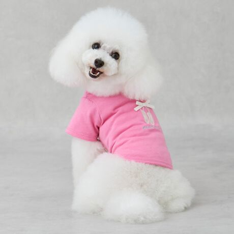 [^ԁF9652455]o[iC[WiTVcłB炵gEV[Yƃ~j{Ă܂BigɊ􂷂VvȃVGbgłB̓NNւłSdlBhHقǂĂAU₲т̎łp\łBhイ̗Ɂuĕzv͂܂ByzȂyňzʁyLkzynzȂy|PbgzȂfTCYgCv[h@:20cm :33cm w:24cm pTCY:SlŗԂŌvTCY\LłsNF̏dF2.6kg^pTCYS 