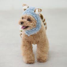 プティマイン(petit main)の【DOG】（節分）鬼なりきりパンツ