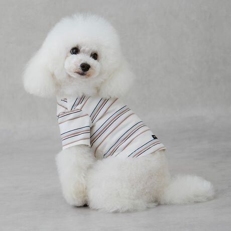 [^ԁF9551453]}`{[_[ڂTVcłB񌳂̔zFgŃANZgAIȕ͋CoBhHقǂĂAHׂڂ₨Uɉ̂h܂B̓SdlŒ߂ȂAXgXt[ȒSnłB9552210FyhHz}`{[_[TVcŃLbYTCŶł܂ByzȂyňzʁyLkzynzȂy|PbgzȂF̏dF2.6kg^pTCYS 