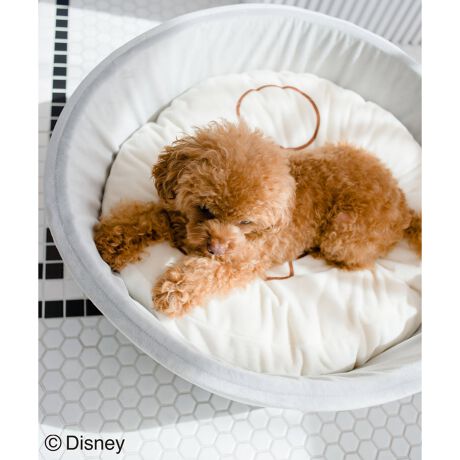 Dog Disney ディズニー ミッキー ラテアートベッド ロペピクニックパサージュ Rope Picnic Passage Gii ファッション通販 マルイウェブチャネル