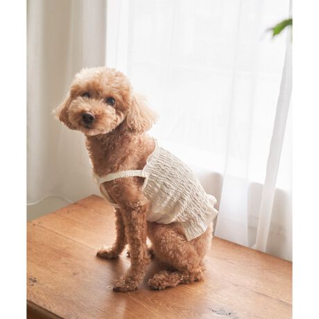 [^ԁFGII23250]y炵Ɨ[h𕹂pL~\[BzyfUCEVGbgzEMU[fUC̗̊IȁAhbOp̃L~\[ByJ[zEAC{[ATbNXu[̗D2FWJByX^CO|CgzEV[Yől̃L~s[X(i:GDE23110)AKIDS̃uEX(i:GRH23020)WJĂ̂ŁAt@~[R[f߁BBěAg̃j^[ɂĐF̌Ⴄꍇ܂BJ[ɂăTCYقȂ܂̂ŁA̐mFB^Ỏ摜̃TCY͎Qlk[hɂȂ܂BiTCY̓TCYłmFBf̏d:(`)1.8kg  pTCY: STCY/(gCv[h)4kg  pTCY: MTCY