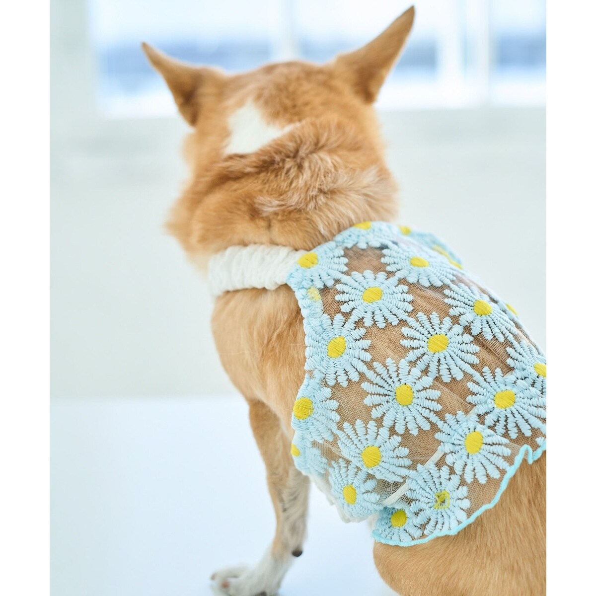 DOG】フラワーキャミソール | ロペピクニックパサージュ(ROPE' PICNIC