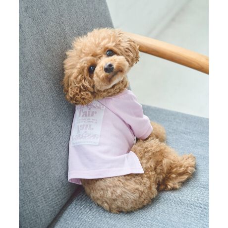 [^ԁFGII24160]yfC[gɍœK̋CyBUɂ҂̃hbOTBzyfUCEVGbgzEROPE' PICNIClC̃hbOEFA&ObYCBEwʂɃX^CbVȃvg{ꂽhbOTVcByJ[zEubNAsN2FWJByX^CO|CgzEV[Yől(i:GSM14060)WJĂ̂ŁA߁BBěAg̃j^[ɂĐF̌Ⴄꍇ܂B^Ỏ摜̃TCY͎Qlk[hɂȂ܂BiTCY̓TCYłmFB