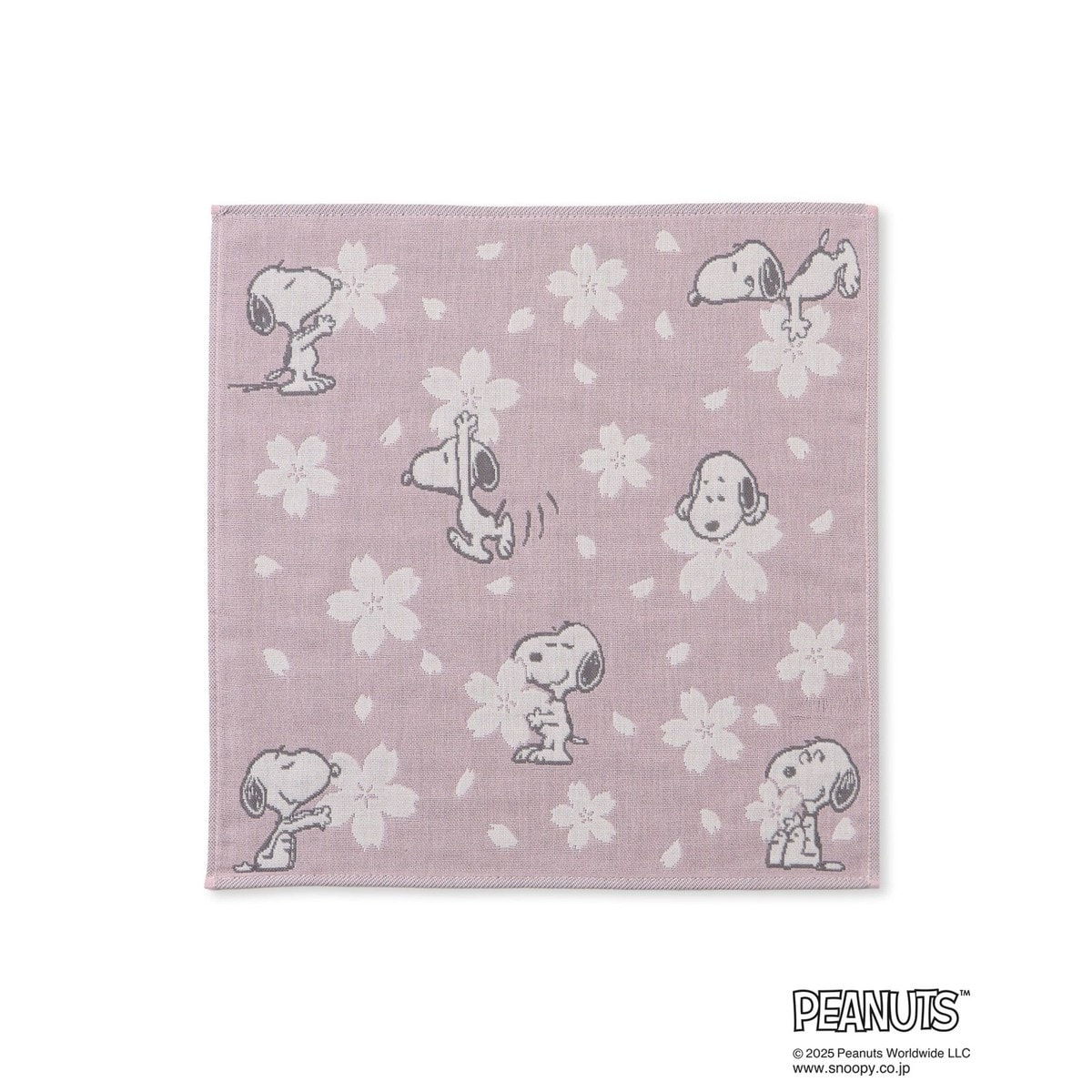 [}C]ySNOOPY/Xk[s[z3dK[[nJ`/ysNjbNpT[WiROPE' PICNIC PASSAGEj sN