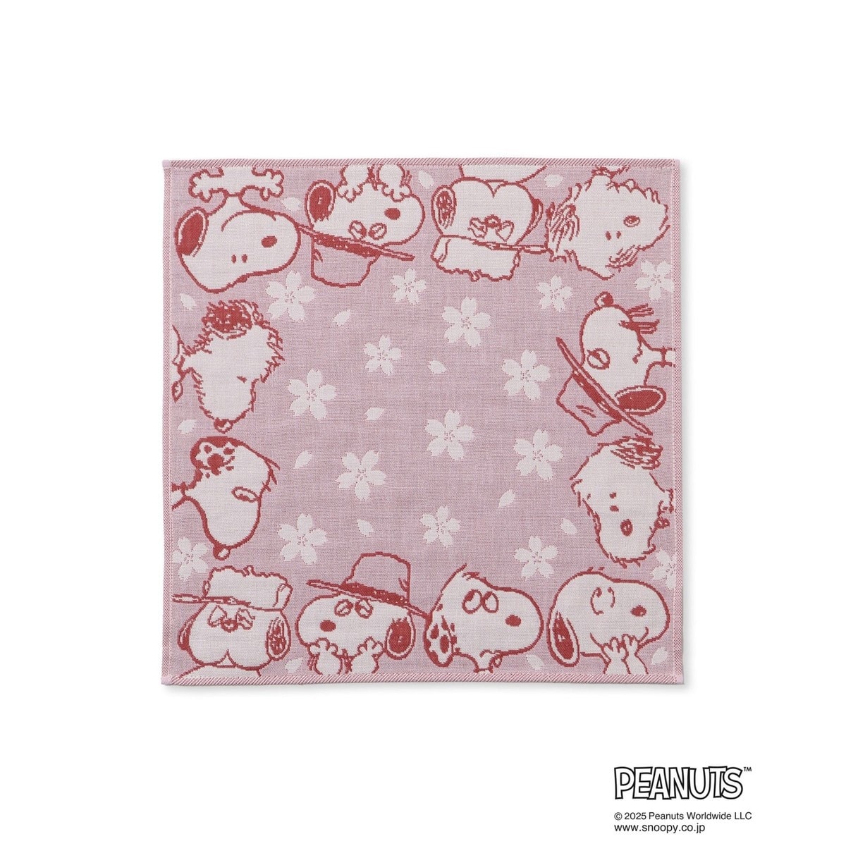 [}C]ySNOOPY/Xk[s[z3dK[[nJ`/ysNjbNpT[WiROPE' PICNIC PASSAGEj sNnTu