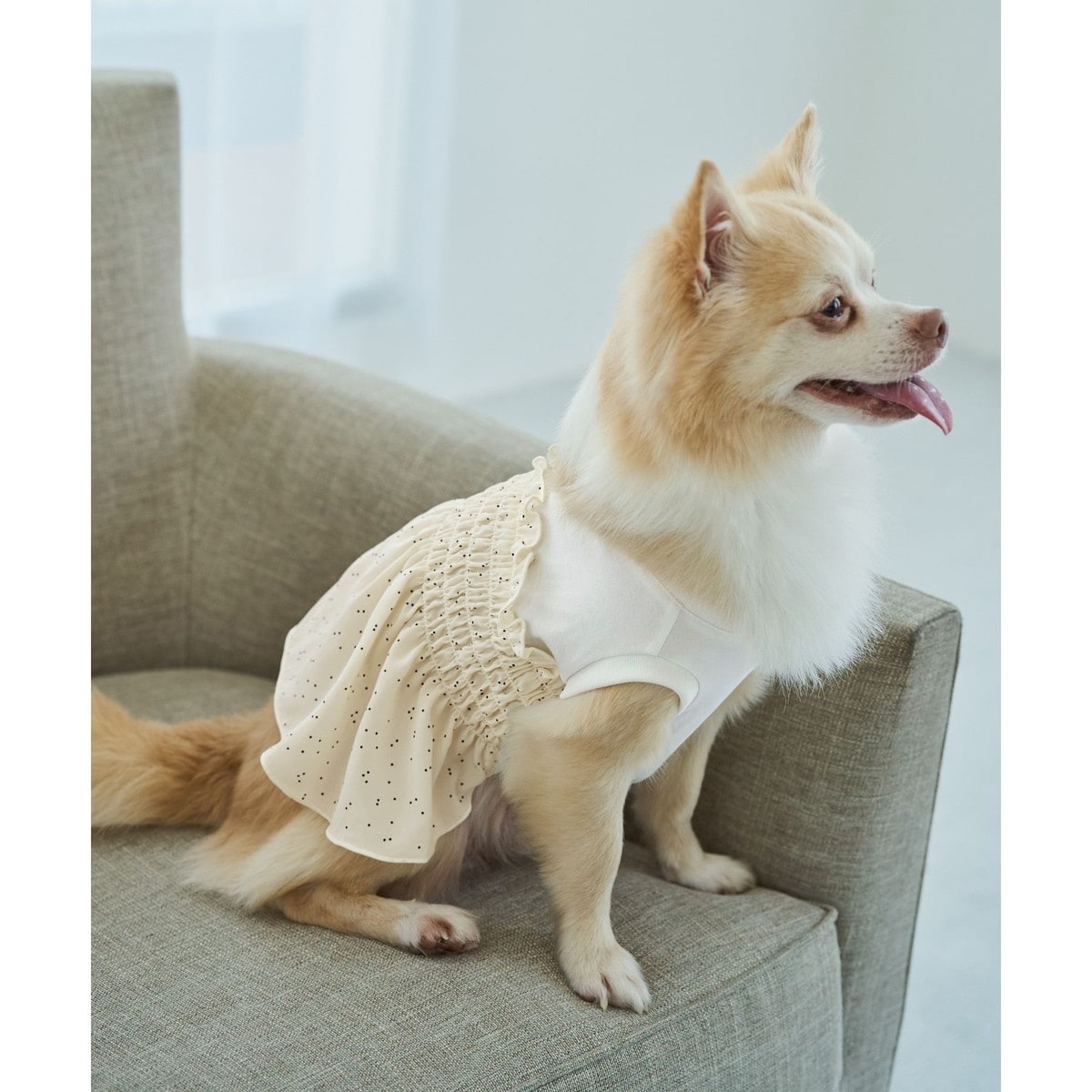 DOG】シャーリングワンピース/リンクコーデ | ロペピクニック