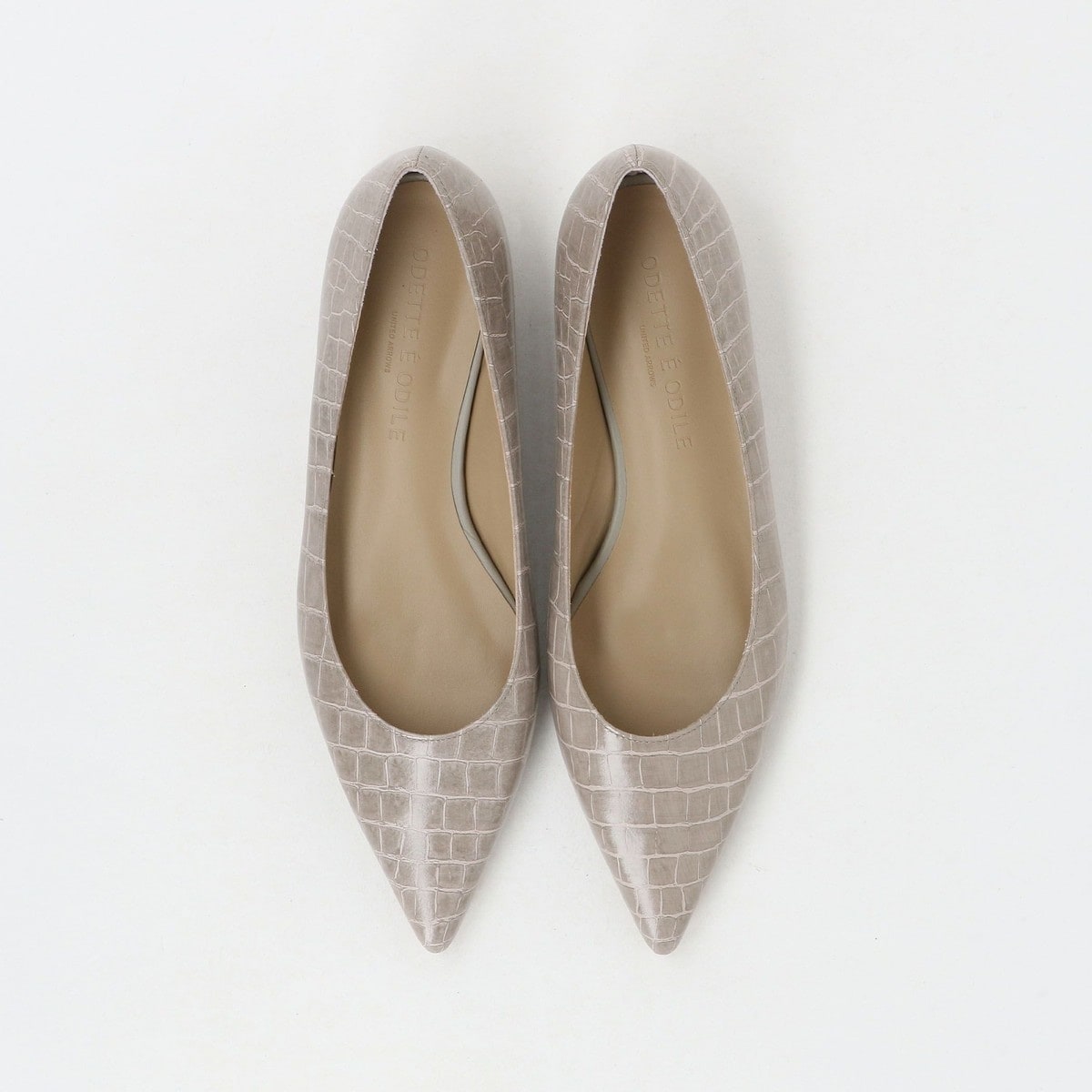 [�}���C]�|�C���e�b�h�v���[�� �t���b�g20����/�I�f�b�g�G�I�f�B�[���iODETTE E ODILE�j LT.GRAY