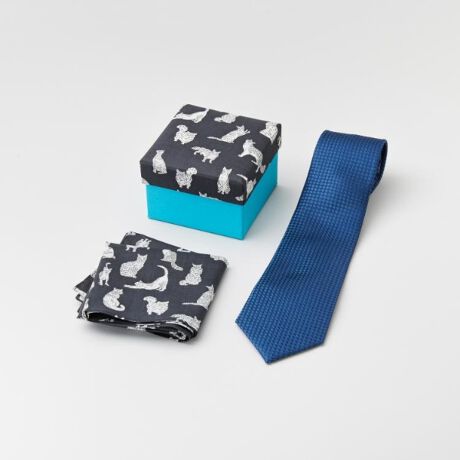 [^ԁFG8704185]LDɖJ߂lN^CyfUC|Cgz x[VbNlN^CiMeowfUCjMtg{bNXZbg؂₩ȐnґɎgpAx[VbNlN^CƃnJ`̓ʃZbg܂BL`ꂽuMeowv̐nƈꏏɁAX^CbVȃMtg{bNX͓IB؂ȕւ̑蕨Aւ̂JɃsb^ȈiłBi̓FIWifUCFOh[AueBbVV[gwAACN[ȂǁALȔL炵`ꂽnBiƃX^CF匕ɂ͐lC̃x[VbNȃoXPbgWgpAiȈۂoBn⏬߂ɂpn̗pAוɂ肪܂BMtgɍœKFȃnJ`ZbgɂȂĂA{bNXɋlߍ݂܂B蕨ɍœK̑IłBgpV[F̃lN^ĆArWlXV[JWAȃp[eB[ł􂵂܂BLD̕ւ̒av[gV̂jAg̃IVACeƂĂœKłBƖ̊֌WɂAۂFČꍇ܂B܂Ap\REX}[gtHȂǂ̊ɂA኱iƉ摜̃J[قȂꍇ܂B