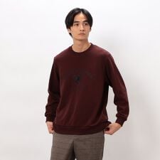 カレッジロゴ 刺繍プルオーバー