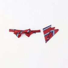 レジメンタルストライプ　蝶タイ・スカーフセット