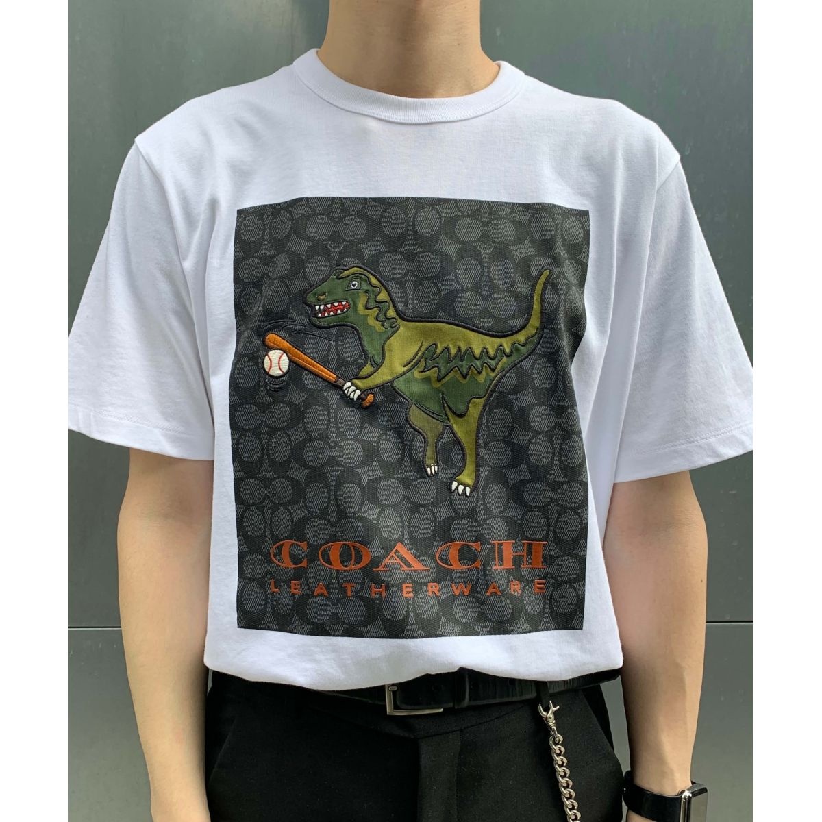 日本限定】レキシー プレイ シグネチャー Tシャツ | コーチ(COACH