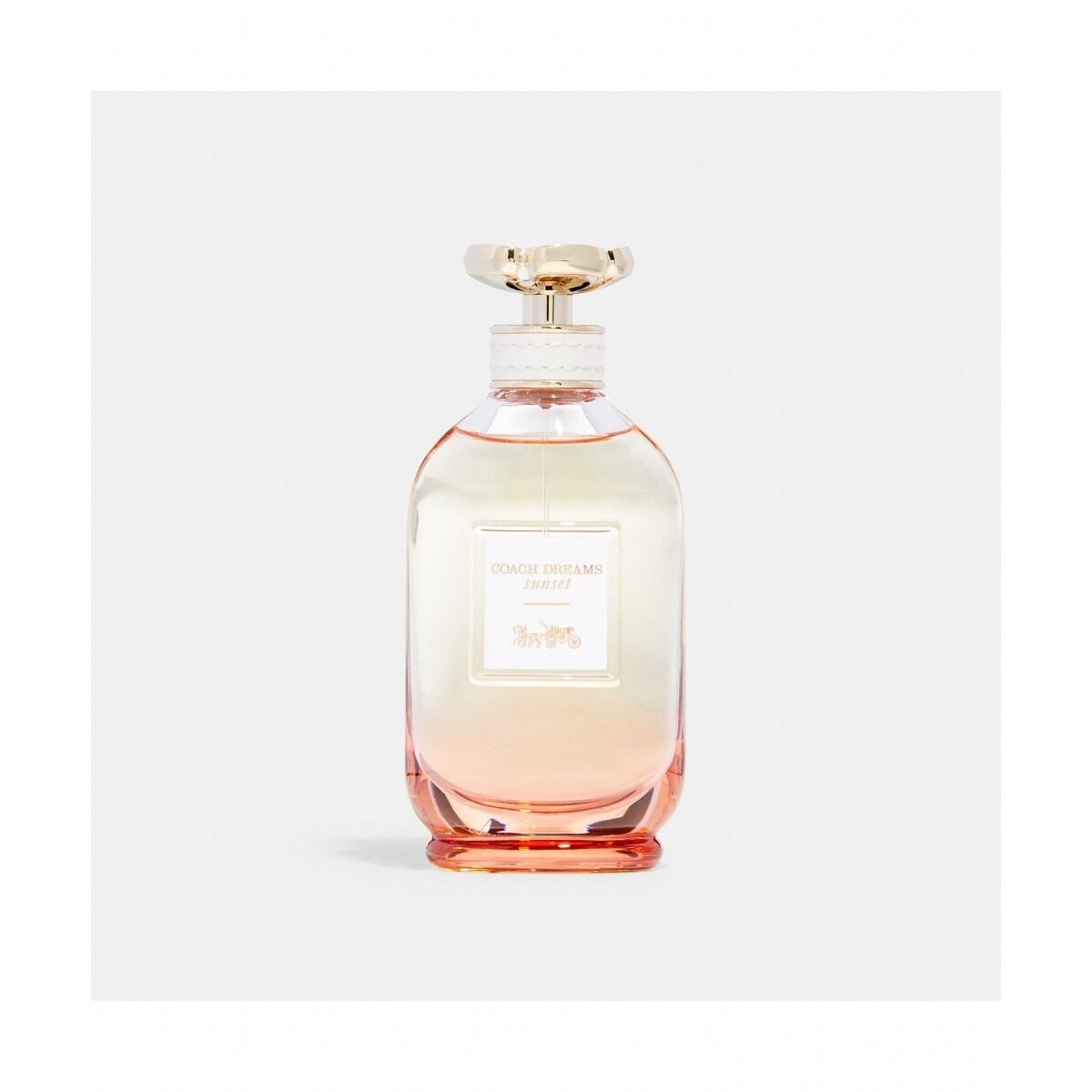 [}C]h[X TZbg I[ h pt@ 90ML/R[`iCOACHj sNn