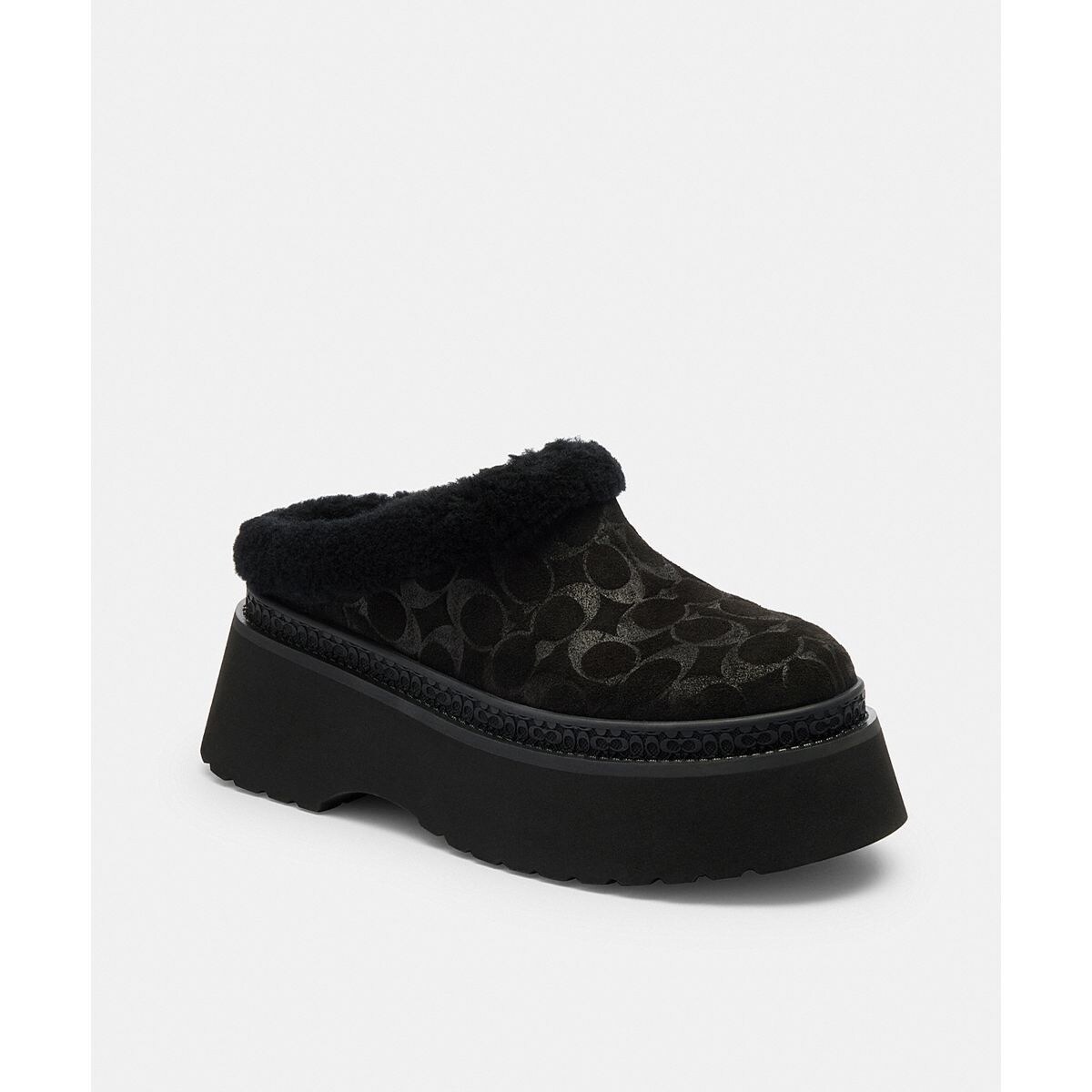 [}C]ZVA NbOEVOl`[ XG[h/R[`iCOACHj ubNn