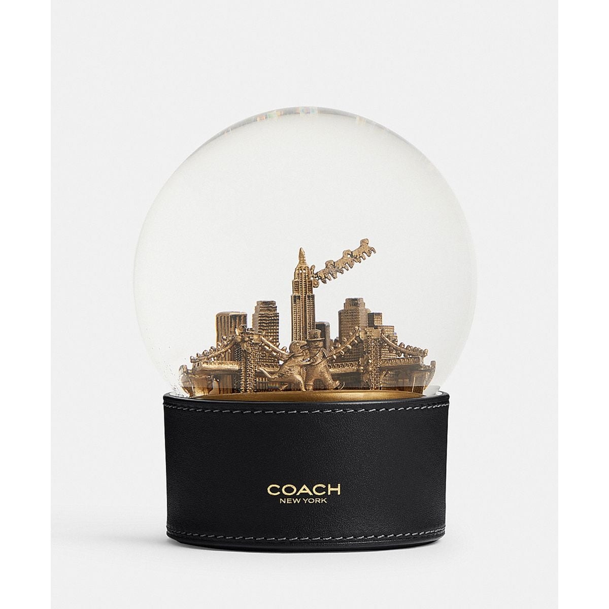 [}C]Xm[ h[ELV[ Ah Xm[}/R[`iCOACHj ubNn