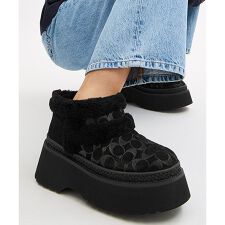 コーチ(COACH)のクリスティーナ ブーティ・シグネチャー スエード