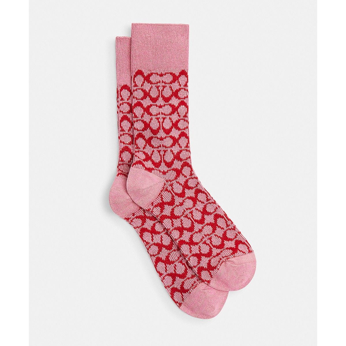 [}C]VOl`[ \bNX/R[`iCOACHj sNn