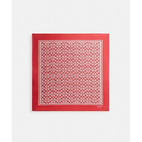 [^ԁFC2755 DN8]Be[W VOl`[ vg VN XNGA XJ[ty₩ȃVÑXNGAXJ[tBR[`̃Be[W̃VOl`[ p^[ANZgɁAn̉Ŏdグ܂B݌ɊAo_iƂēɊAɌIȃX^CvXł܂BE100% VNE89cm x 89cmEd39gEfB[XTCYgp̃p\RX}[gtH̉ʐݒ@ɂۂ̃J[ƈقȂČꍇ܂BJ[͊Ǘp̕\LłA^O̕\LƈقȂĂ܂ByCOACHɂāz1941NɃj[[NőnO[ot@bVuhłBƋ@\˔R[`iɂ́AnNtg}Vbvוɂ܂łɍs͂Aō̎gSnƃX^C͂܂BWF_[XɎgfUCLxɑAMtgł̂qlɂIтĂ܂BNGCeBuEfBN^[̃X`A[gEB@[X̃rWƁÃz[^Ełj[[ŃAN󂯓piCN[VujAėEC鐸_ɃCXpCAAN炵悤ɁAîÂs܂B