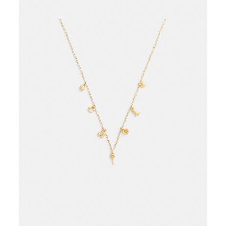 [^ԁFCDS88 GLD]~j ACR `[ lbNXR[`̃ACRjbNȃ`[t~j`Aɂă`[ɂA@ׂȃ`F[lbNXBAWX^u NXvŁAOɂV[gɂ𒲐߂ł܂BEv[ebh uXAKXAL[rbN WRjAEuX^[ NXvJEgbvFc1cmA0.4cmES40`45cmgp̃p\RX}[gtH̉ʐݒ@ɂۂ̃J[ƈقȂČꍇ܂BJ[͊Ǘp̕\LłA^O̕\LƈقȂĂ܂ByCOACHɂāz1941NɃj[[NőnO[ot@bVuhłBƋ@\˔R[`iɂ́AnNtg}Vbvוɂ܂łɍs͂Aō̎gSnƃX^C͂܂BWF_[XɎgfUCLxɑAMtgł̂qlɂIтĂ܂BNGCeBuEfBN^[̃X`A[gEB@[X̃rWƁÃz[^Ełj[[ŃAN󂯓piCN[VujAėEC鐸_ɃCXpCAAN炵悤ɁAîÂs܂B