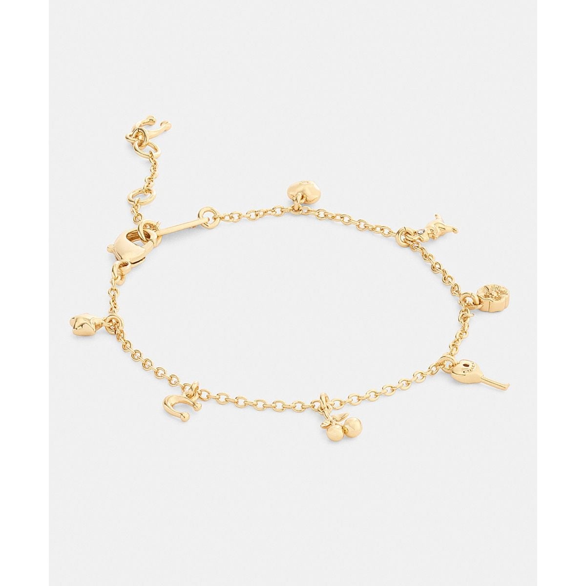 スケルタル レキシー シグネチャー チェーン ブレスレット | コーチ