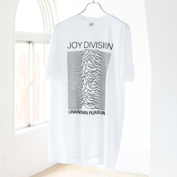 Ｊｏｙ Ｄｉｖｉｓｉｏｎ ／ Ｕｎｋｎｏｗｎ Ｐｌｅａｓｕｒｅｓ