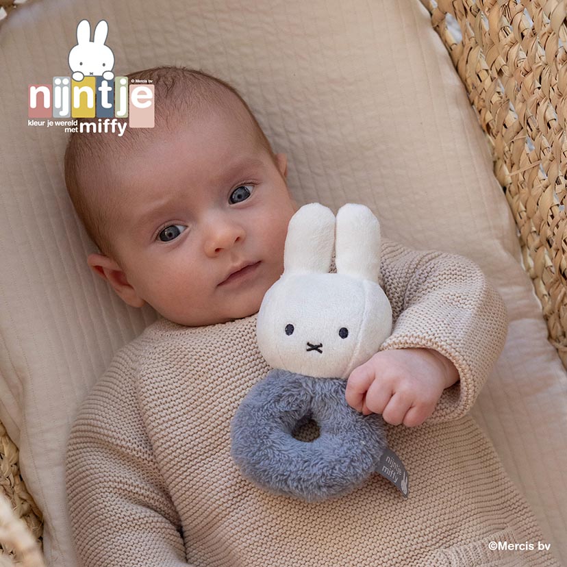 [}C]miffy ~btB[ g/tbtB[/u[/_bhEFCiDADWAYj tbtB[/u[