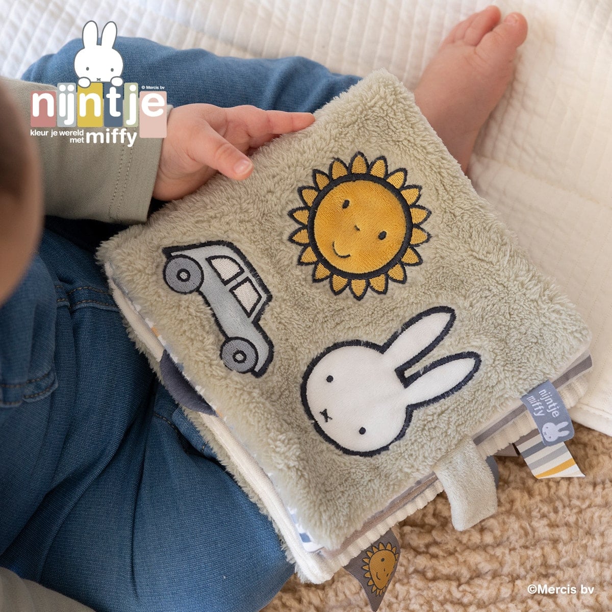 [}C]miffy ~btB[ zق/tbtB[/u[/_bhEFCiDADWAYj u[